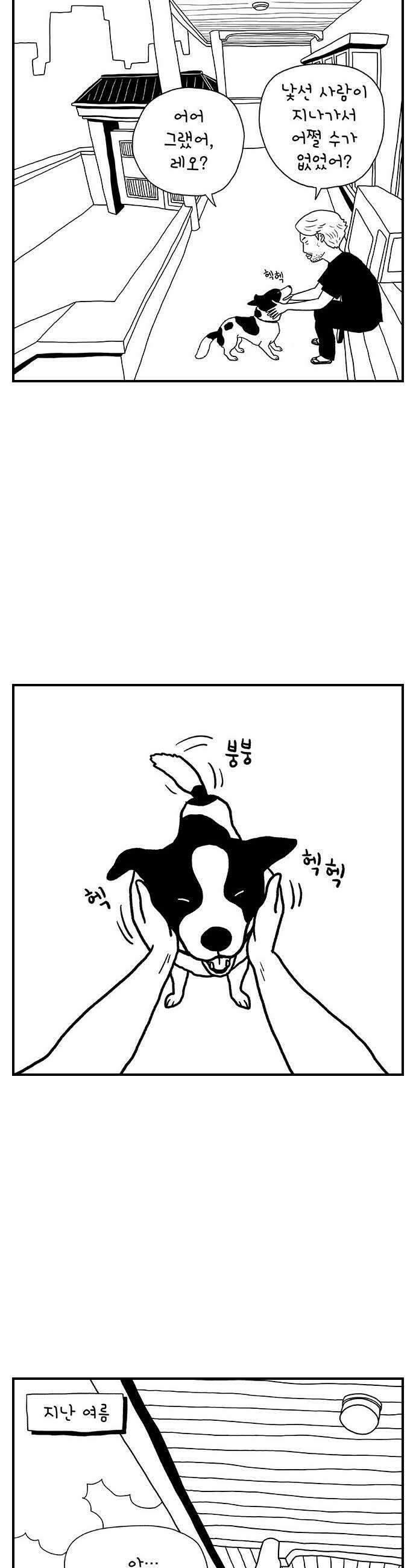 펫로스클럽 13 창 밖의 레오 21