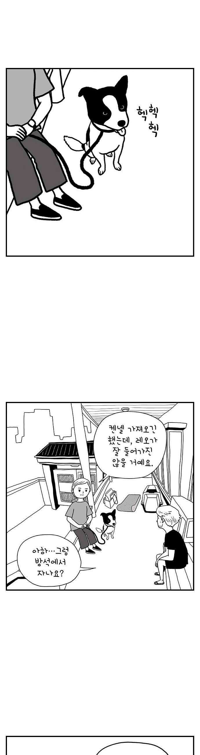 펫로스클럽 13 창 밖의 레오 24