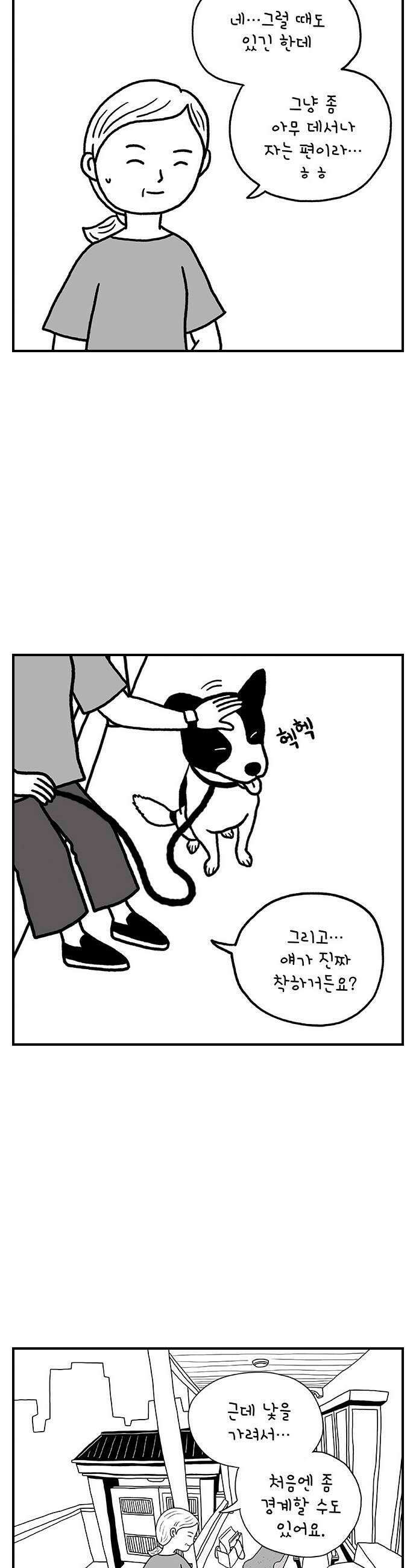 펫로스클럽 13 창 밖의 레오 25