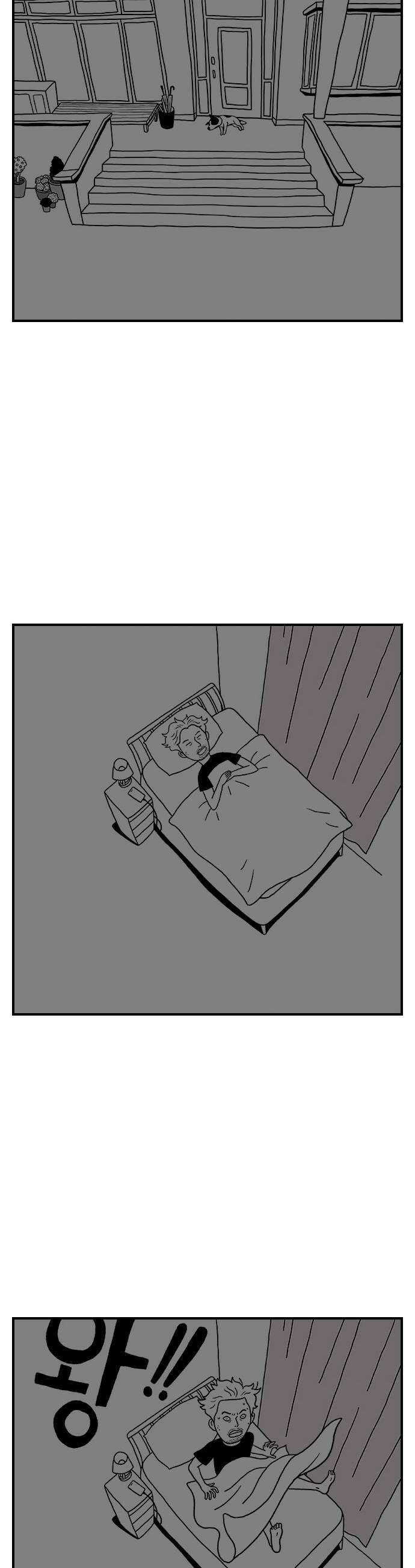 펫로스클럽 13 창 밖의 레오 29