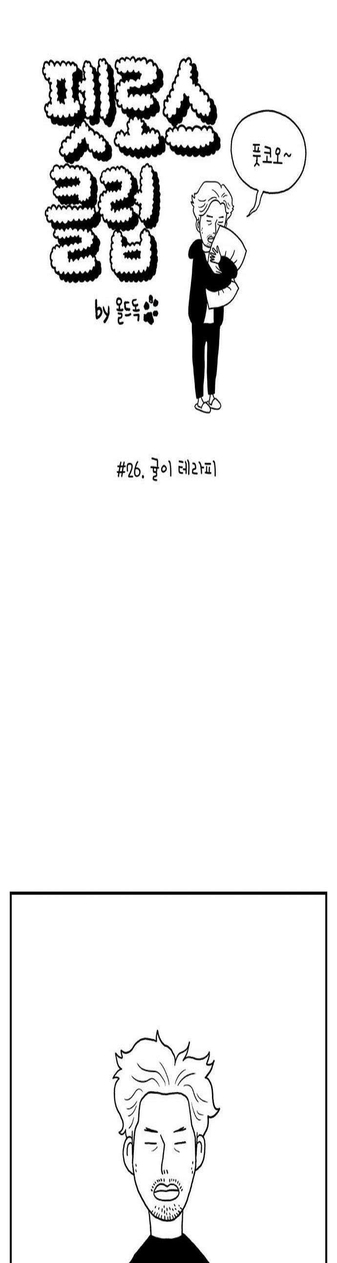 펫로스클럽 26 귤이 테라피 1