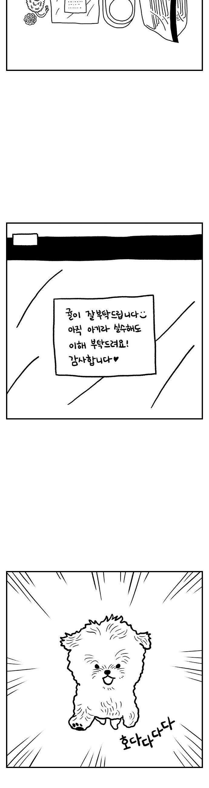 펫로스클럽 26 귤이 테라피 7