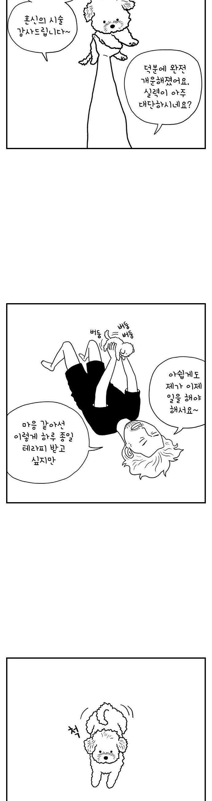 펫로스클럽 26 귤이 테라피 10