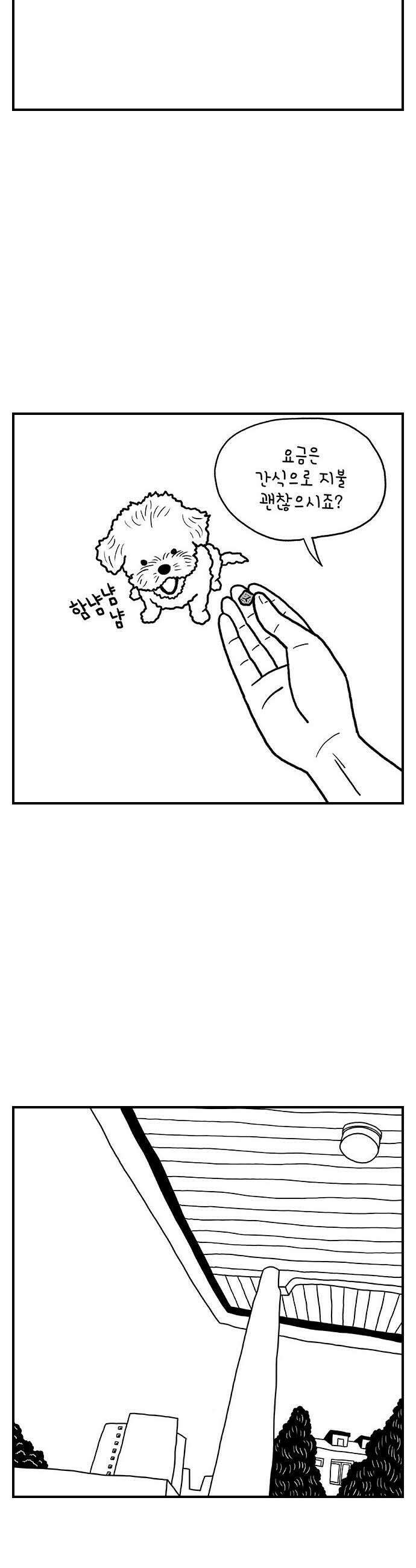 펫로스클럽 26 귤이 테라피 11