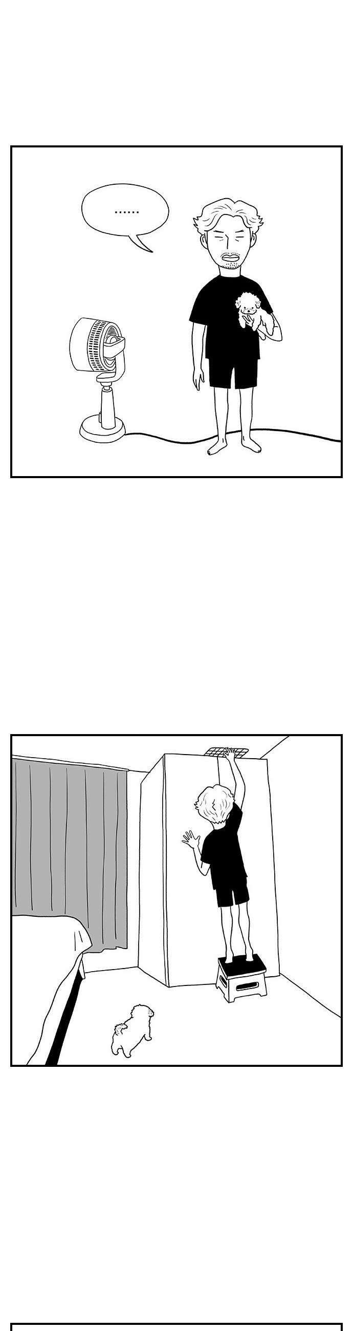 펫로스클럽 26 귤이 테라피 20