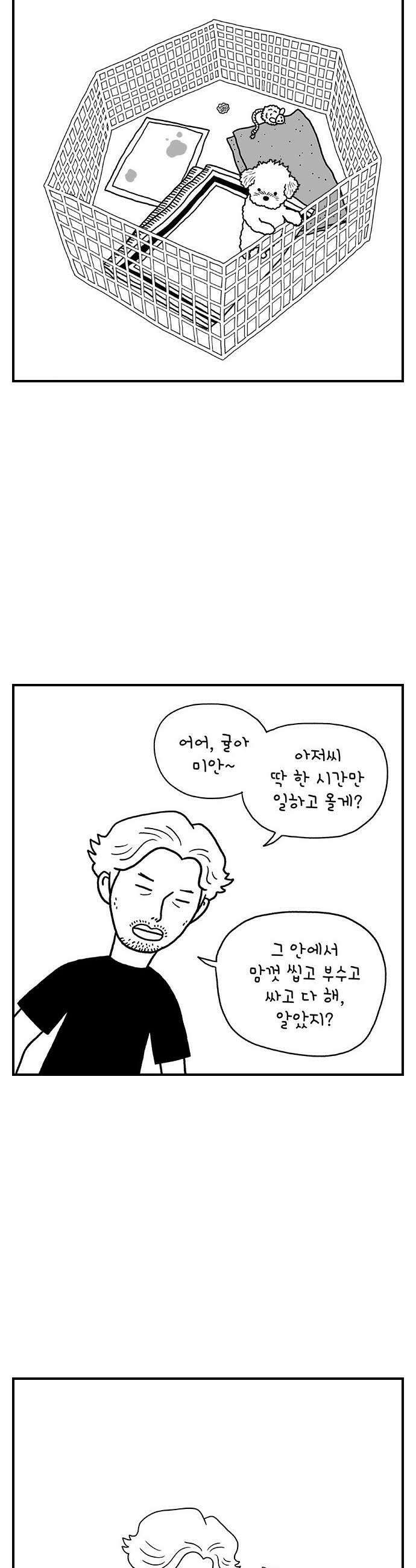 펫로스클럽 26 귤이 테라피 21