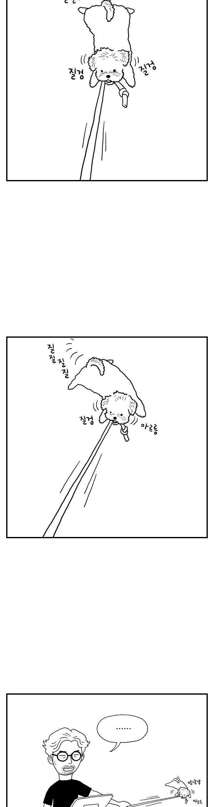 펫로스클럽 26 귤이 테라피 25