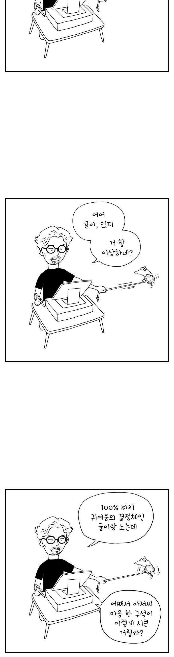 펫로스클럽 26 귤이 테라피 26