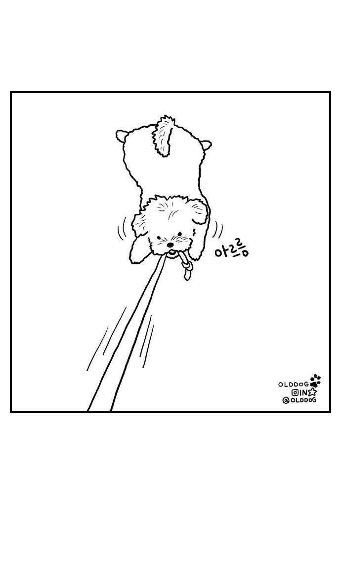 펫로스클럽 26 귤이 테라피 28
