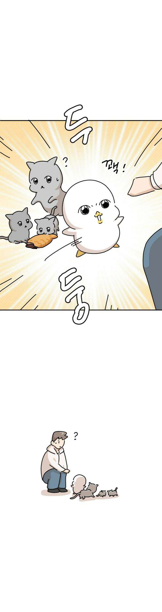 오리짱! 31화 테리의 꿈1 36