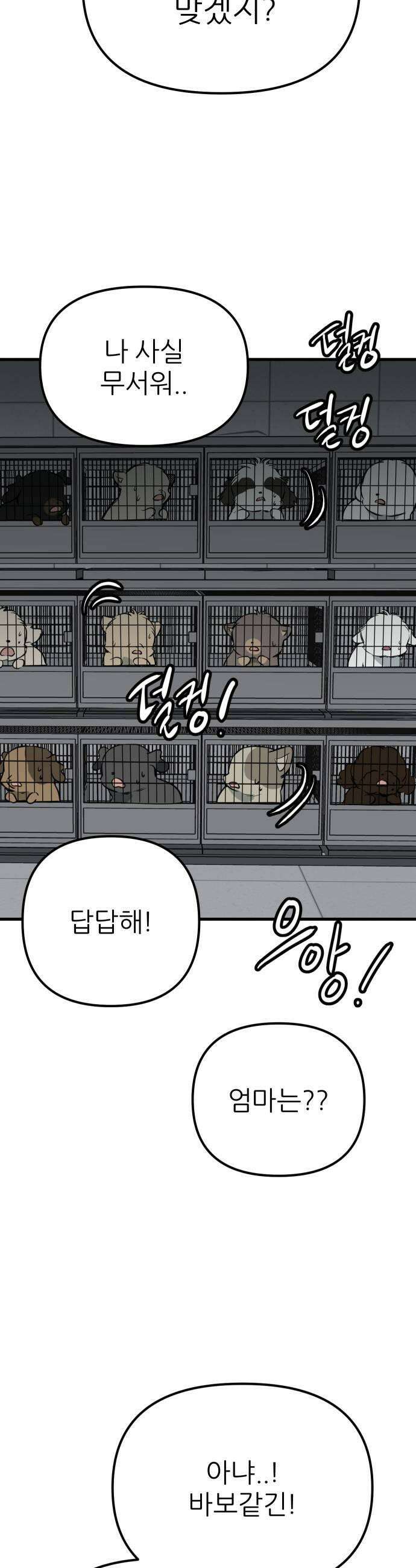 개같이 탈출 시즌2 22화 51