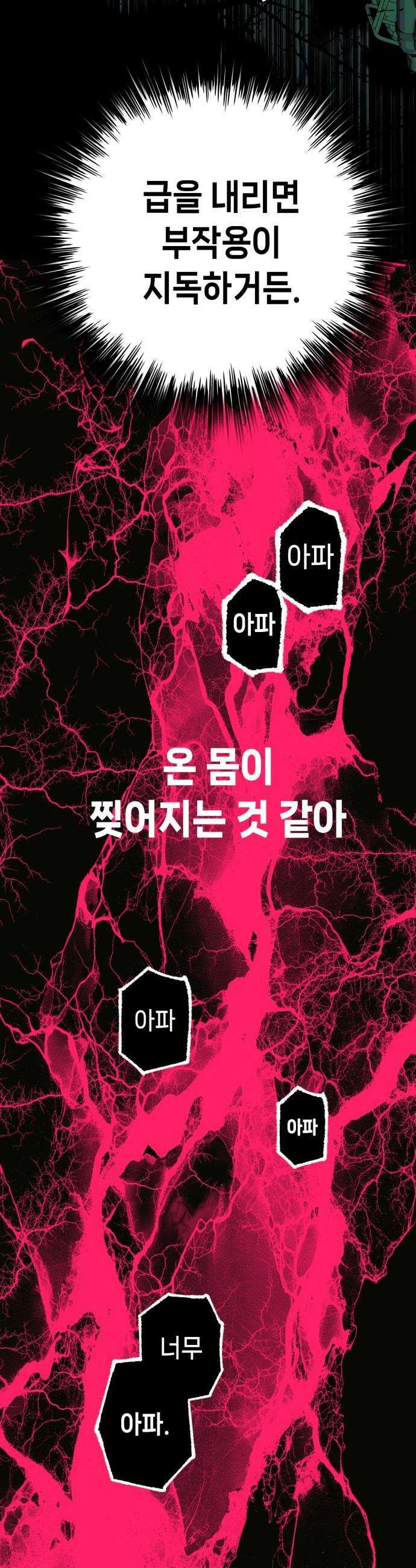 비터사이드 크렌베리스 028 길잡이 별6 12