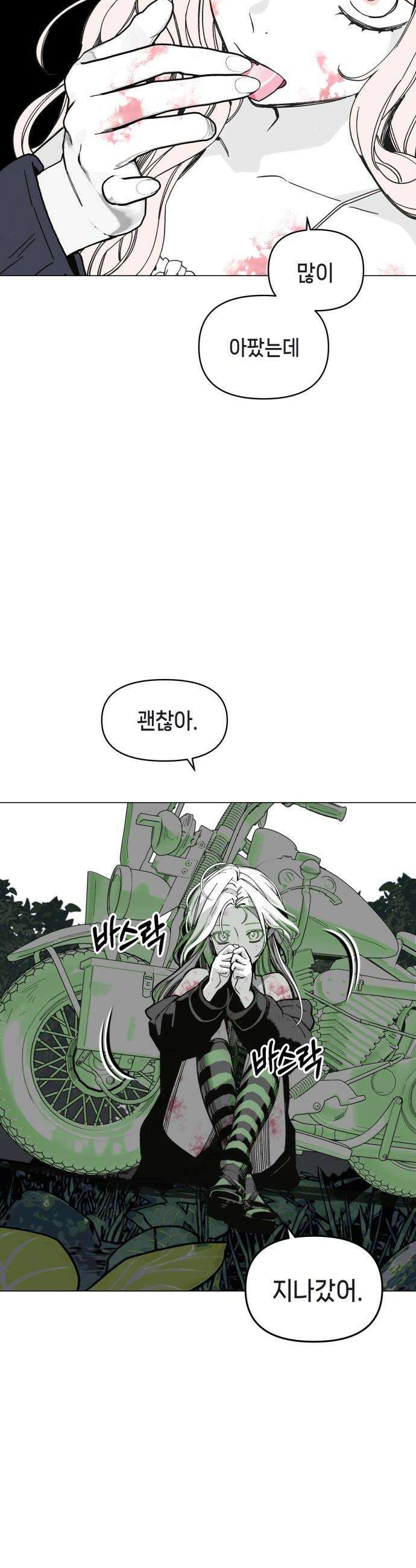 비터사이드 크렌베리스 028 길잡이 별6 24