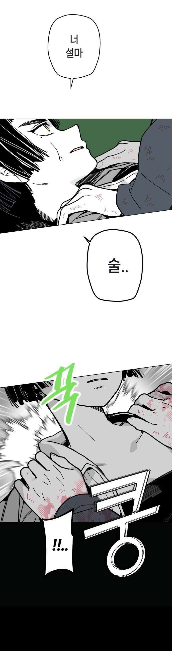 비터사이드 크렌베리스 028 길잡이 별6 30