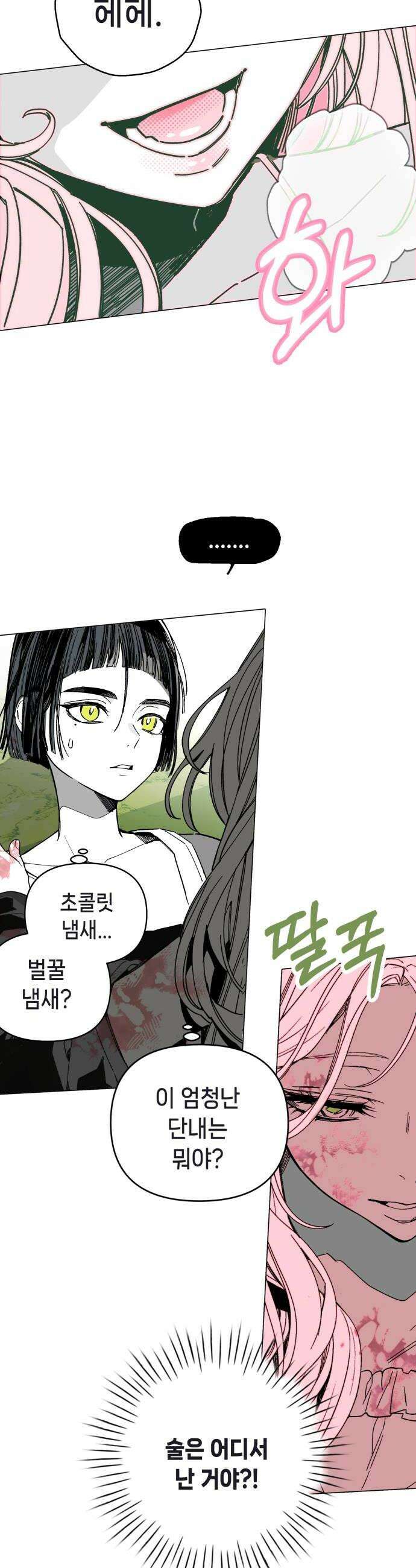 비터사이드 크렌베리스 028 길잡이 별6 32