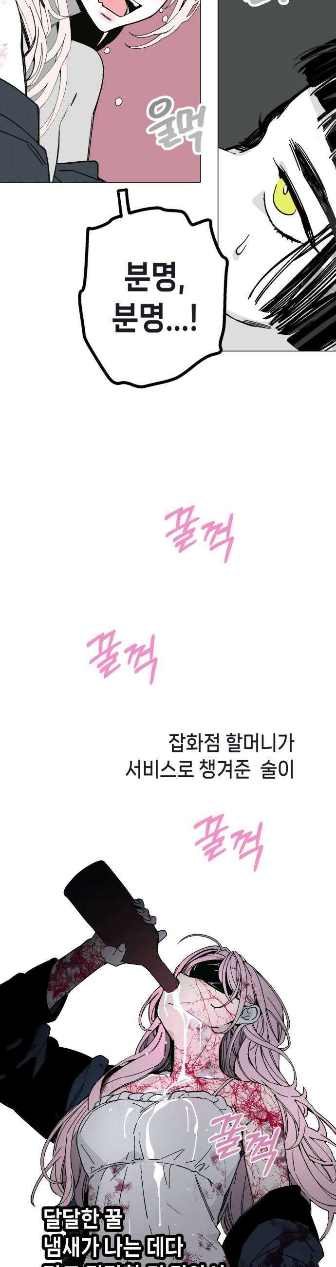 비터사이드 크렌베리스 028 길잡이 별6 35