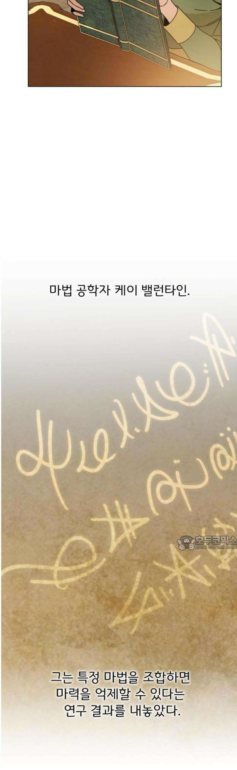 사표내고 이계에서 힐링합니다 126화 : 메이하트 48