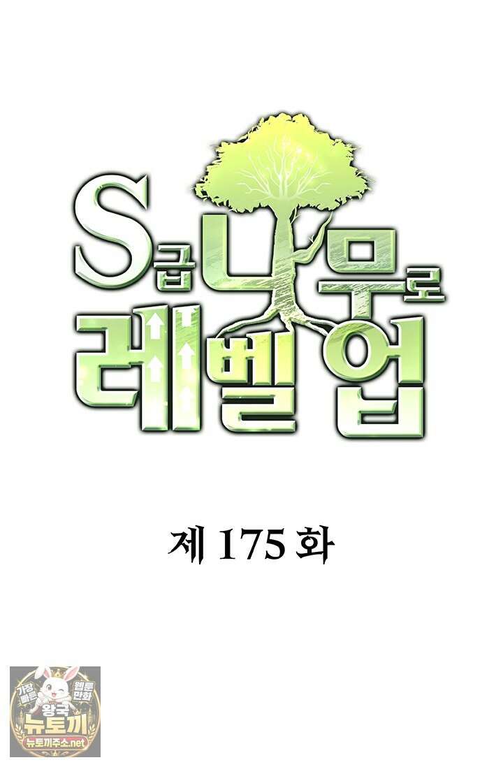 S급 나무로 레벨업 175화 1