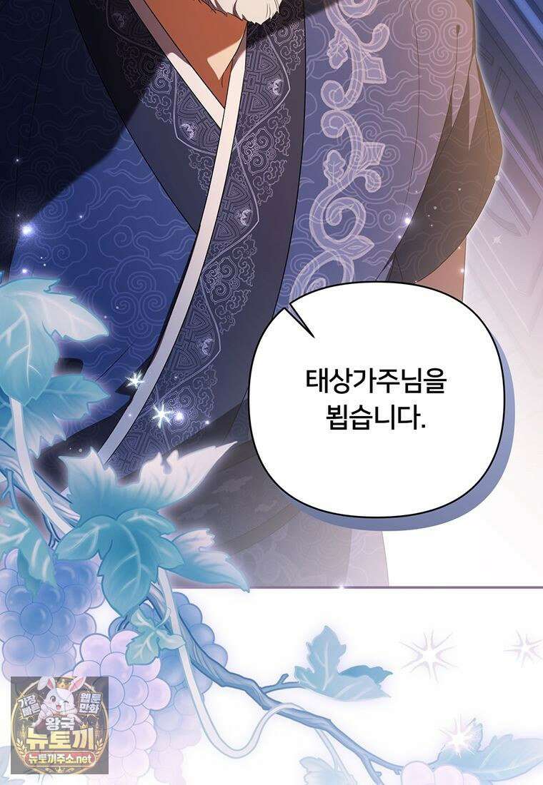 멍문세가를 호령하는 아기 고양이입니다 12화 8