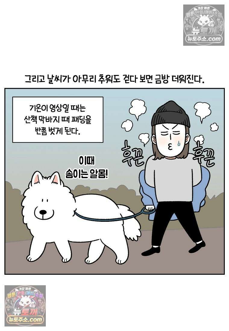 극한견주 시즌2 46화 언니들의 겨울 산책룩 18