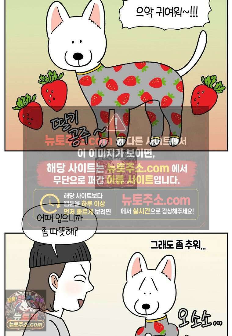 극한견주 시즌2 54화 침대에서 같이 자자 4
