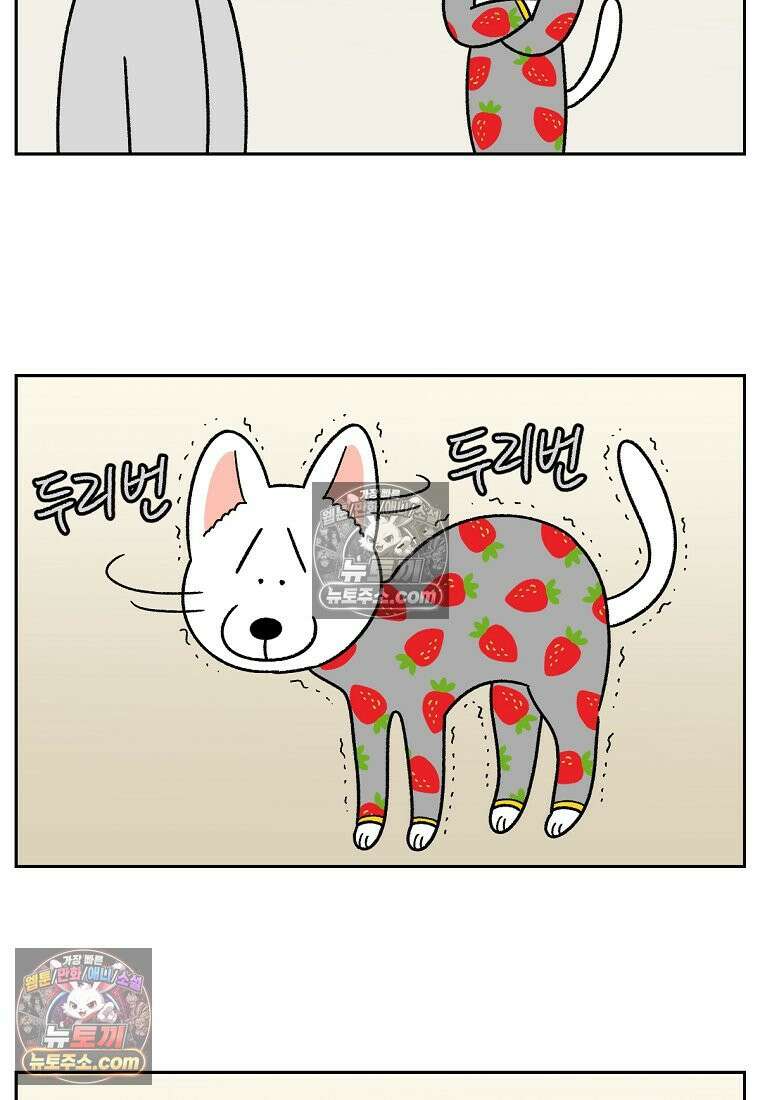 극한견주 시즌2 54화 침대에서 같이 자자 5