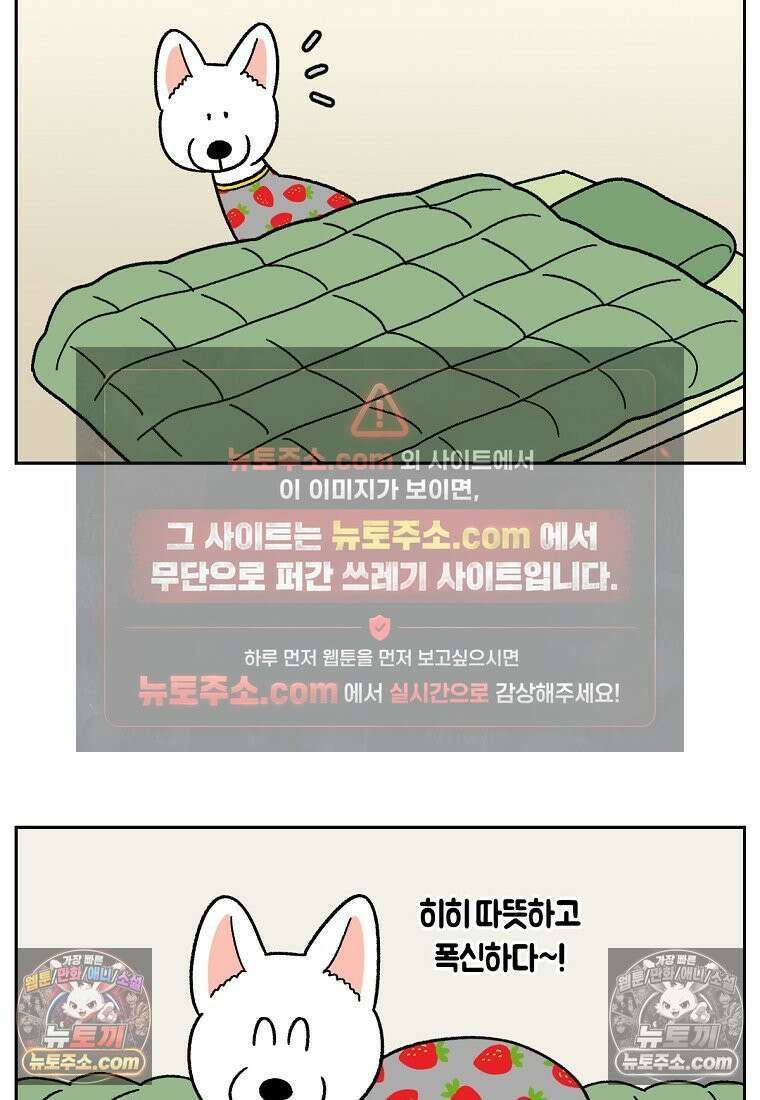 극한견주 시즌2 54화 침대에서 같이 자자 6