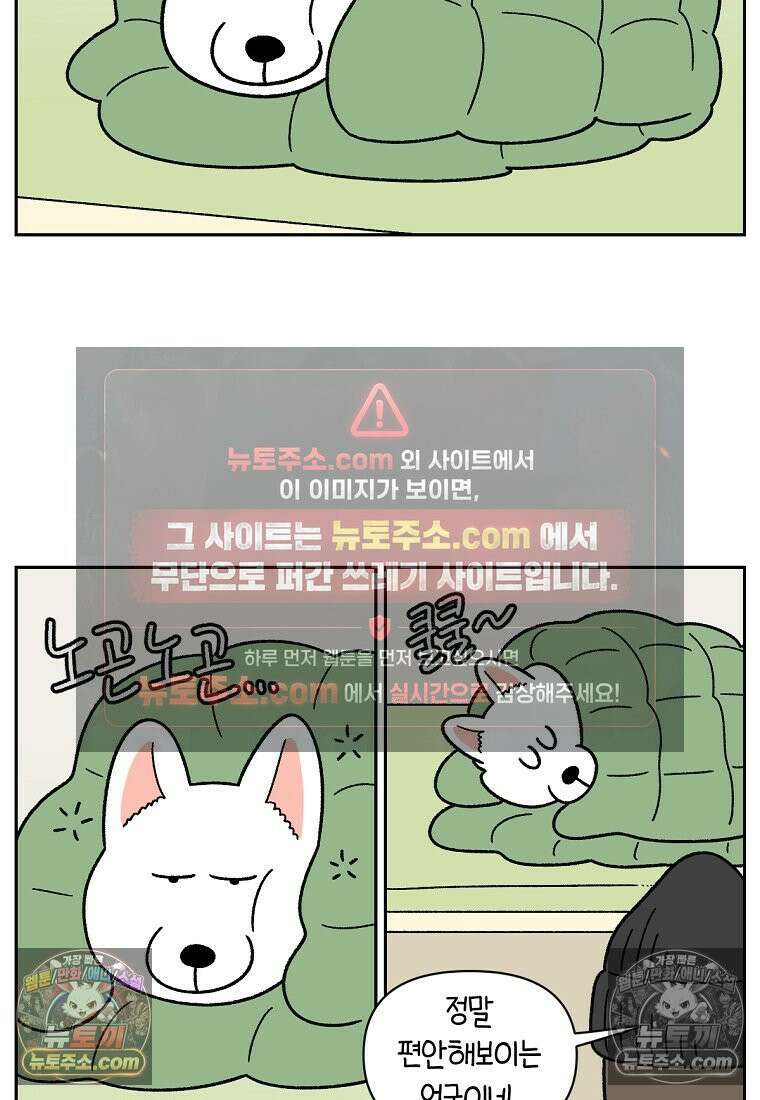 극한견주 시즌2 54화 침대에서 같이 자자 9