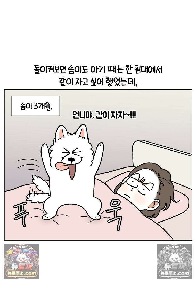 극한견주 시즌2 54화 침대에서 같이 자자 13
