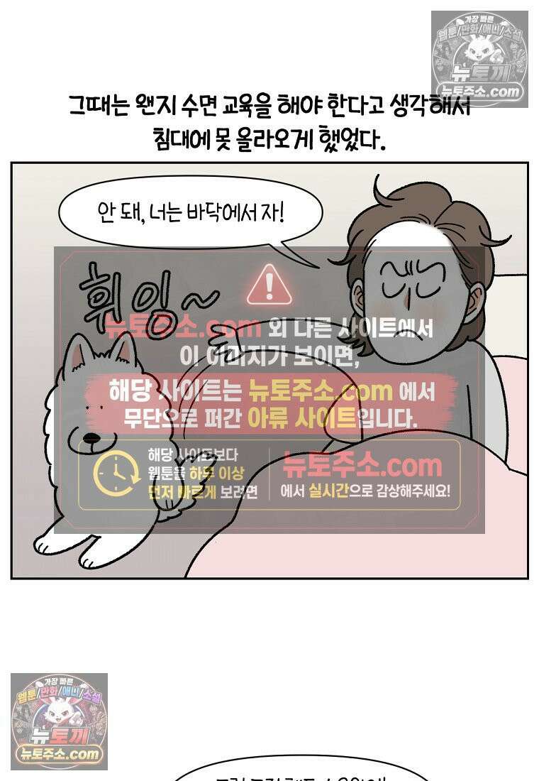 극한견주 시즌2 54화 침대에서 같이 자자 14