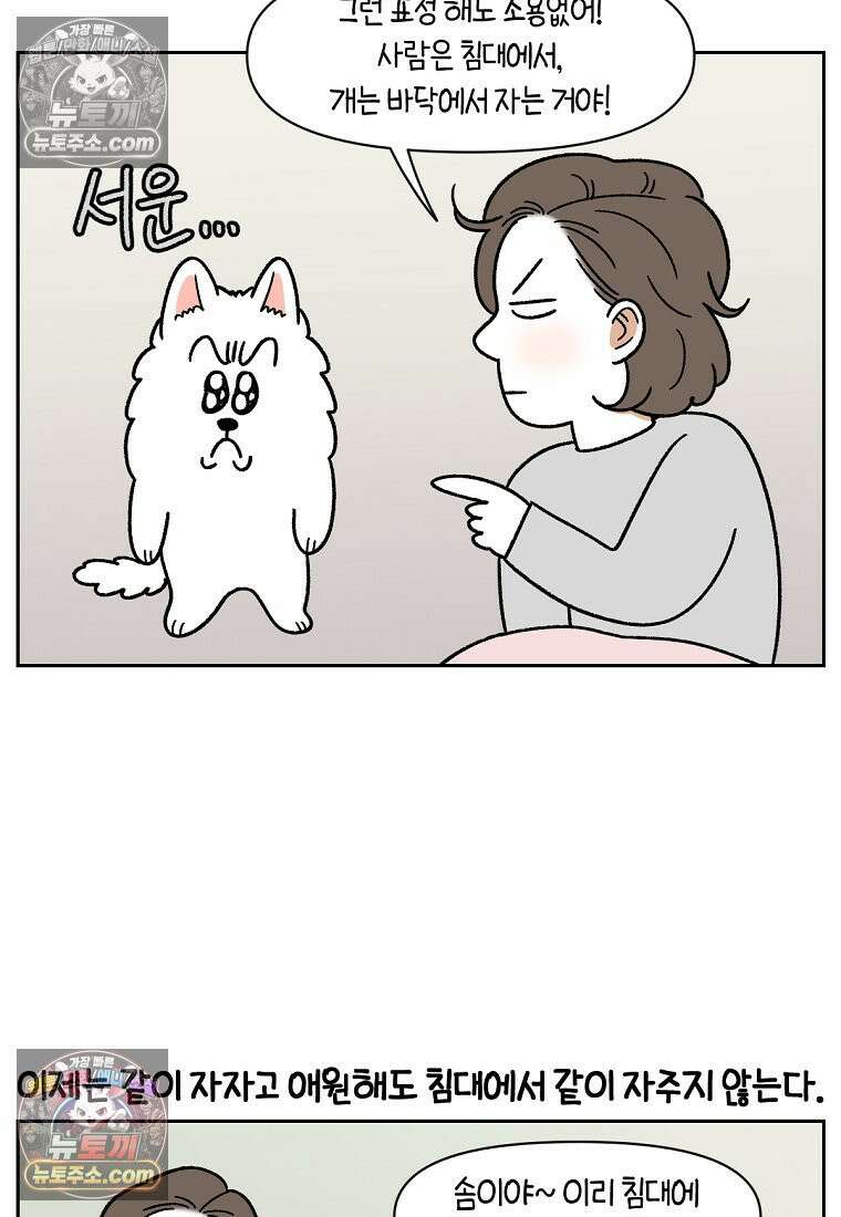 극한견주 시즌2 54화 침대에서 같이 자자 15