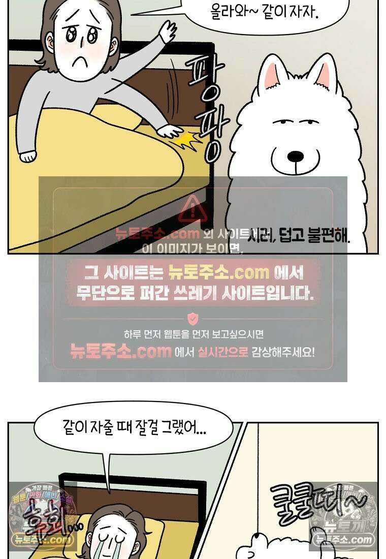 극한견주 시즌2 54화 침대에서 같이 자자 16