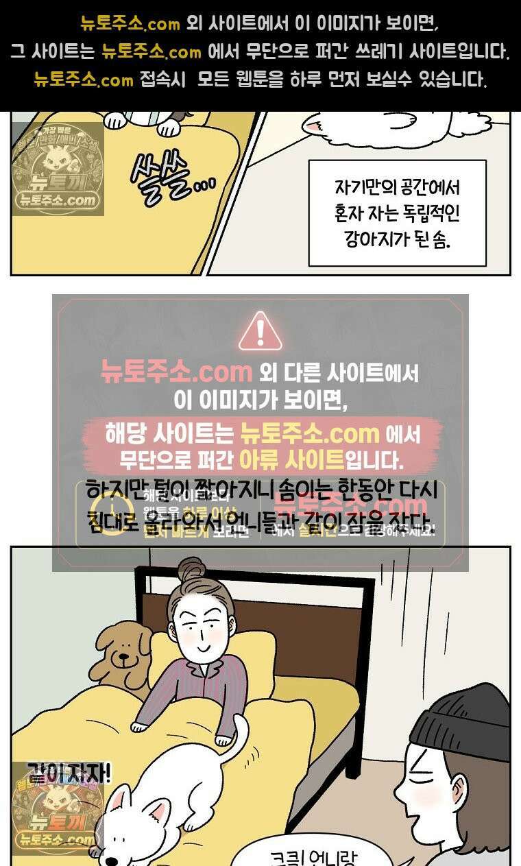 극한견주 시즌2 54화 침대에서 같이 자자 17