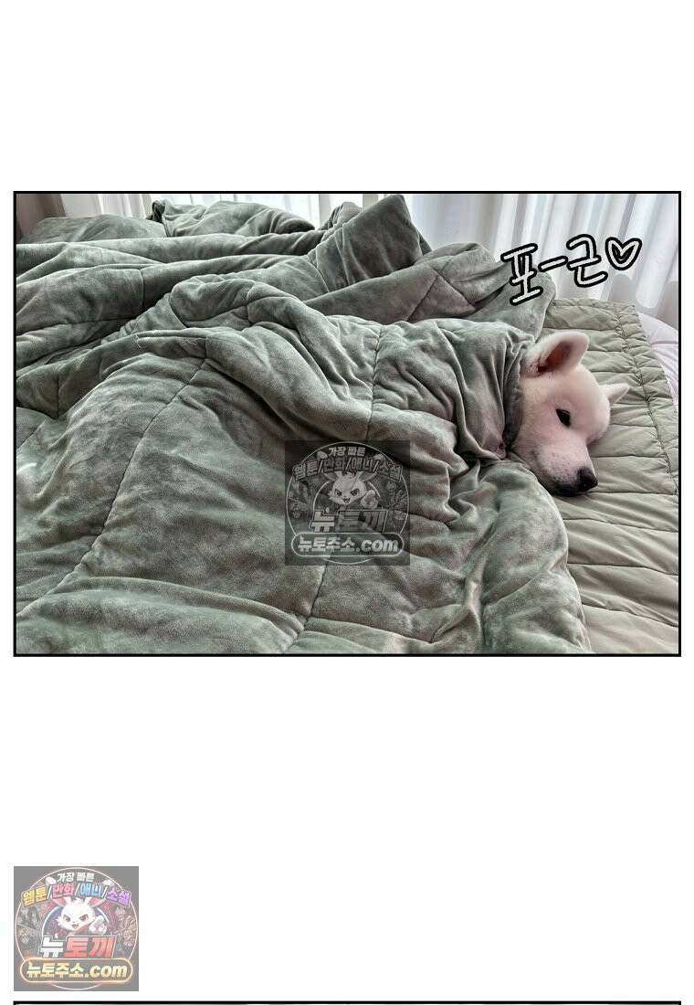 극한견주 시즌2 54화 침대에서 같이 자자 25