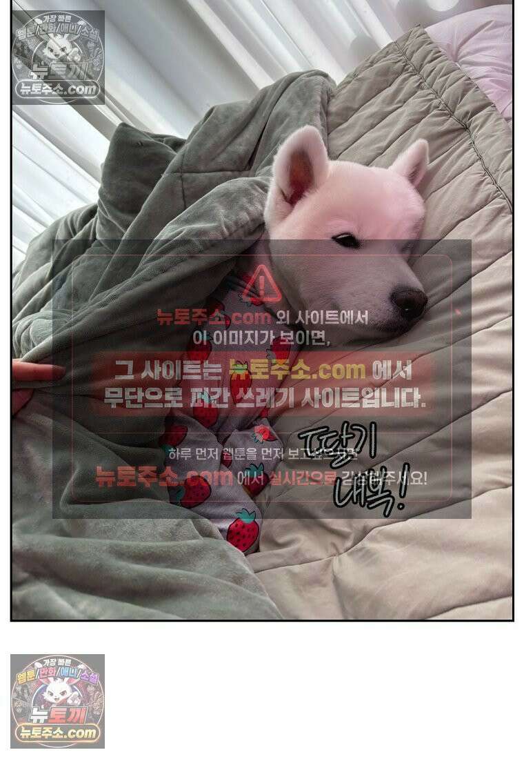 극한견주 시즌2 54화 침대에서 같이 자자 26