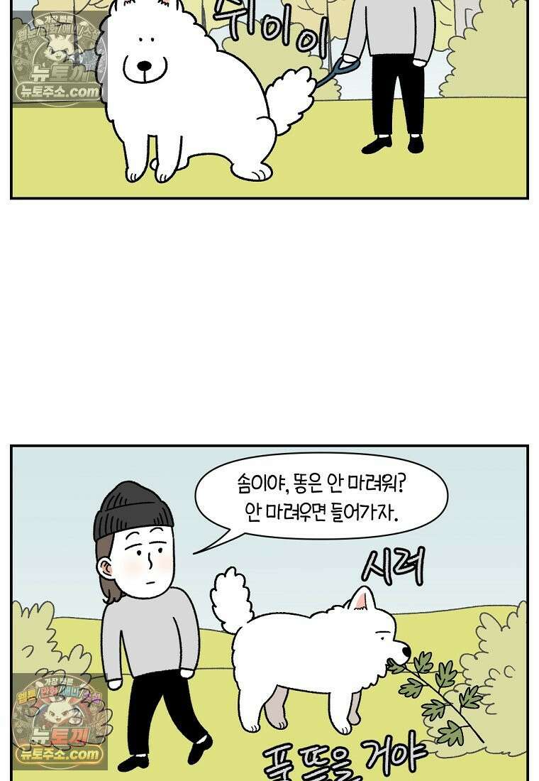 극한견주 시즌2 59화 똥쟁이 강아지 3