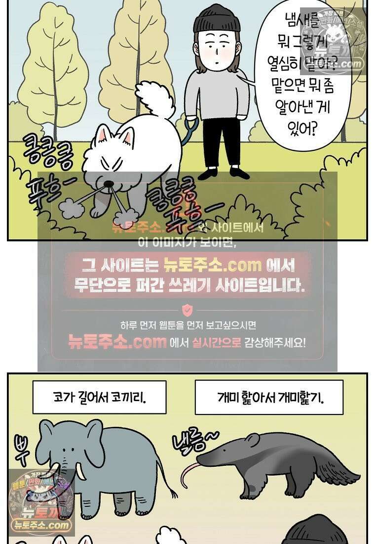 극한견주 시즌2 59화 똥쟁이 강아지 5