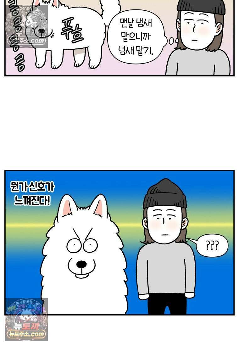 극한견주 시즌2 59화 똥쟁이 강아지 6