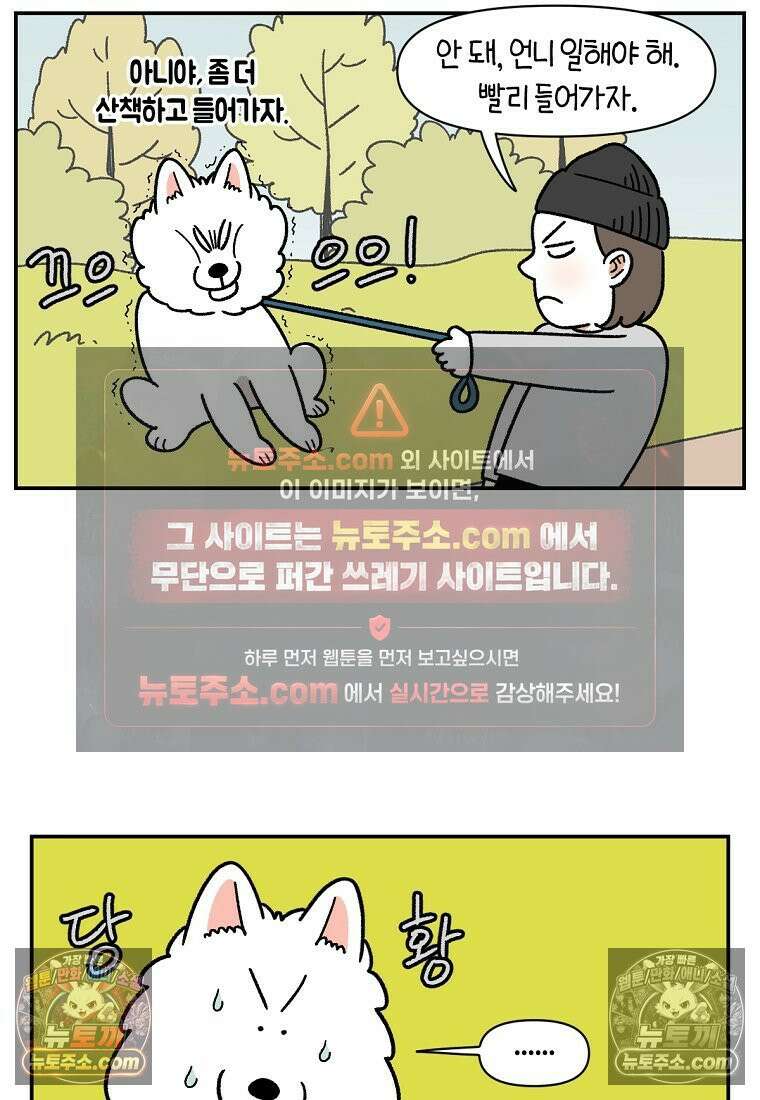 극한견주 시즌2 59화 똥쟁이 강아지 11