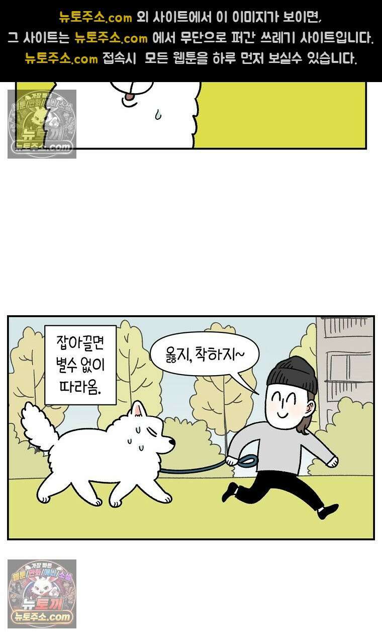 극한견주 시즌2 59화 똥쟁이 강아지 12