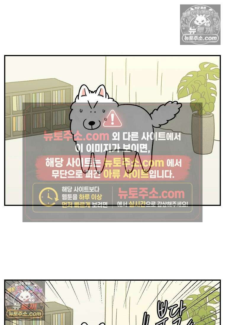 극한견주 시즌2 59화 똥쟁이 강아지 13