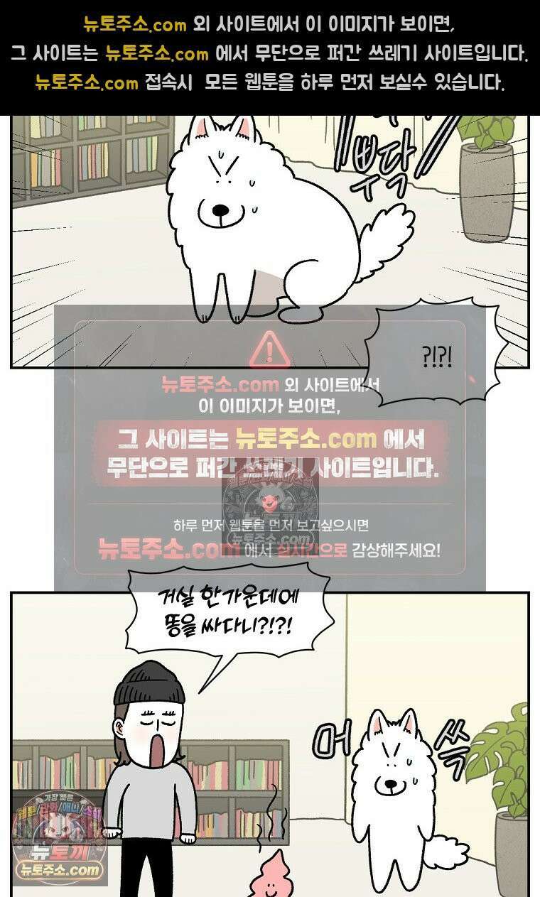극한견주 시즌2 59화 똥쟁이 강아지 14