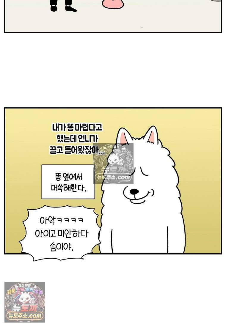 극한견주 시즌2 59화 똥쟁이 강아지 15