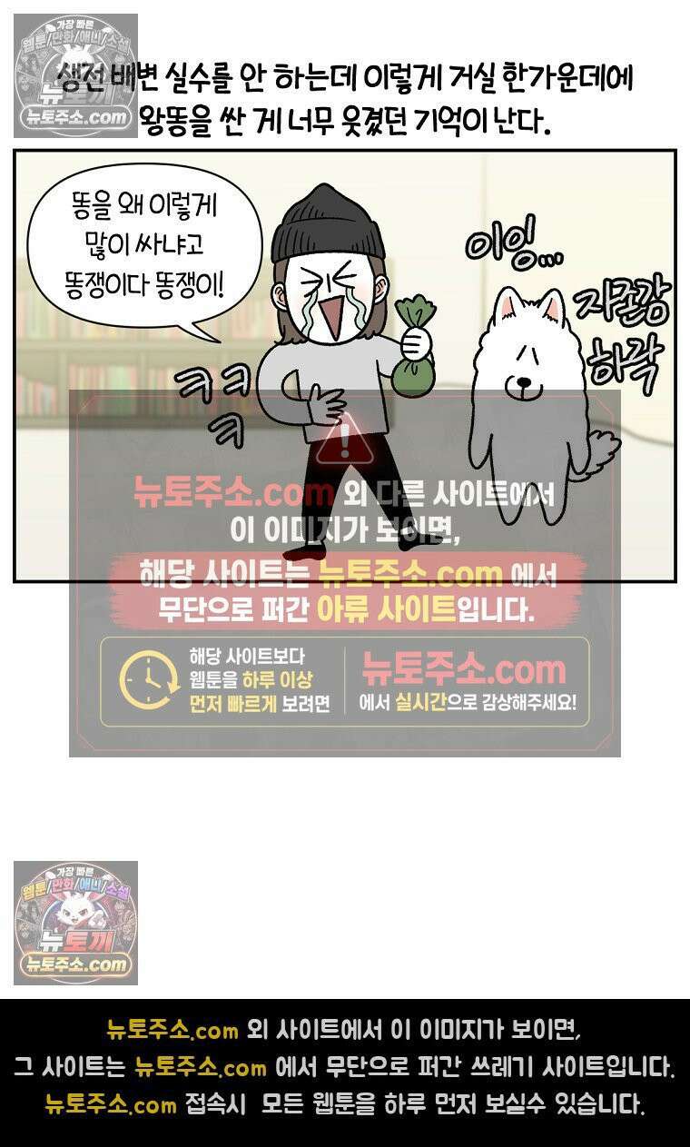 극한견주 시즌2 59화 똥쟁이 강아지 16