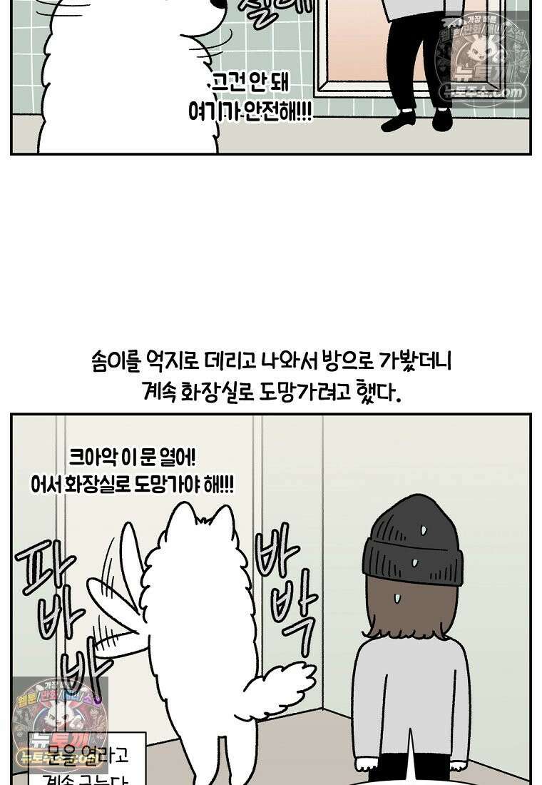 극한견주 시즌2 72화 천둥번개 제발 멈춰 3