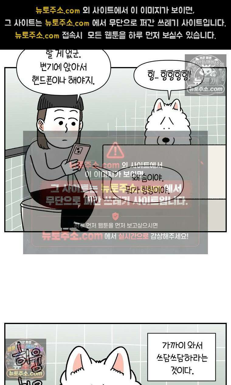 극한견주 시즌2 72화 천둥번개 제발 멈춰 5