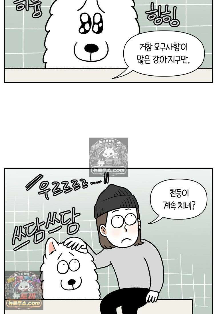 극한견주 시즌2 72화 천둥번개 제발 멈춰 6