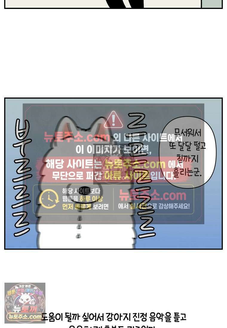 극한견주 시즌2 72화 천둥번개 제발 멈춰 7
