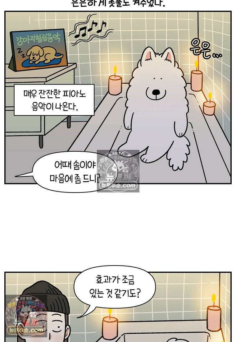 극한견주 시즌2 72화 천둥번개 제발 멈춰 8