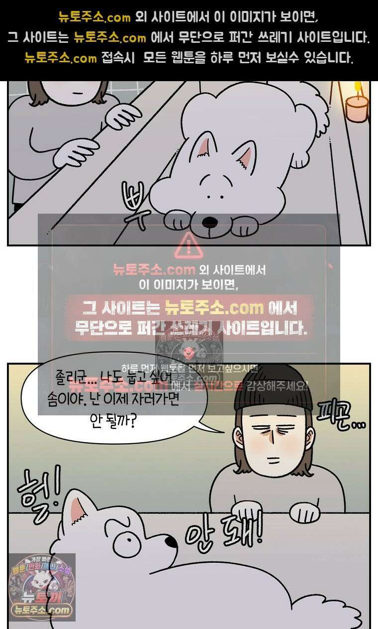 극한견주 시즌2 72화 천둥번개 제발 멈춰 9